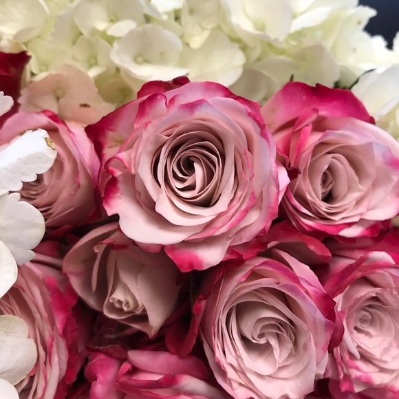 Meet your Posher, M. - Picture 1 of 1